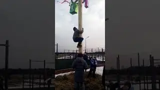 Падаркадан киммат нарса чикади