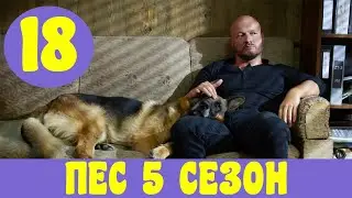 ПЕС 5 СЕЗОН 18 СЕРИЯ (сериал, 2020) Анонс, Дата выхода
