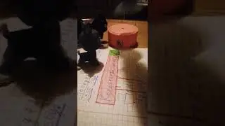 Любовь это песня ❤️