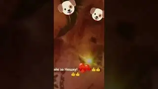 лайк и подписка на выздоровление Нюшки! ❤️