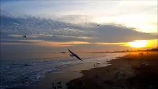 Please Relax & Listen 114