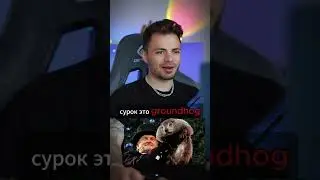 День сурка — это про моё лето 2024 🥲 