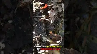 HOW TO MAKE DIRT #shorts #gardening #diy