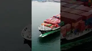 How these small lines effects ship's earnings? #shorts