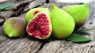 FIKY FIKY (Sicula Version) - Gabriella Rovetto