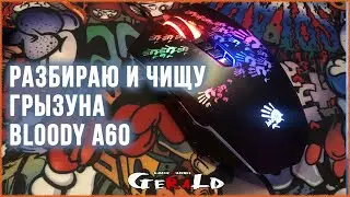 РАЗБИРАЮ И ЧИЩУ ГРЫЗУНА Bloody A60