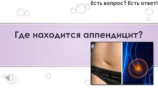 Где находится аппендицит? [286]