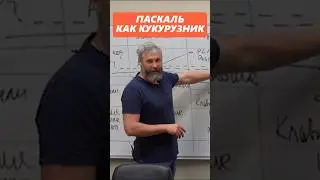 Программисты на Руси программируют на Си? 