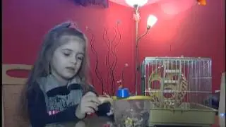 Dzecinski svet 6.2.2014.druha casc  - Дзецински швет 6.2.2014. друга часц