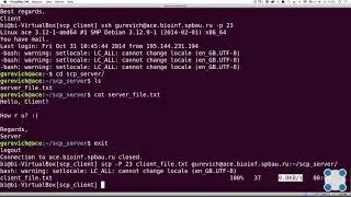 Инструкции Linux - #33 урок. Копирование файлов на сервер и обратно