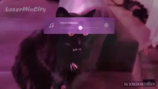 Песня Тролль клип с котиками