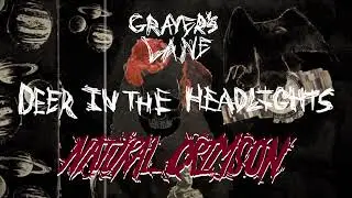 Graver's Lane - Deer in the Headlights (Lyric Visualizer)