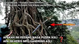 Pertanda apa! Munculnya Pusaka Misterius dari dalam Pohon Angker
