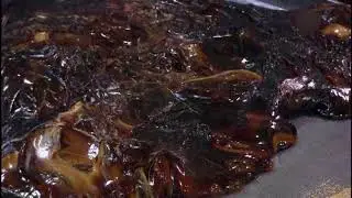 Шоколадно ореховые батончики (Как это работает)