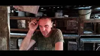 Колифорнийские кролики мой опыт.
