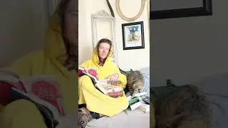 #pov