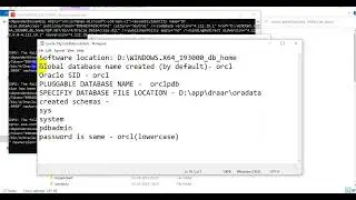 Oracle19c Enterprise edition installation recording