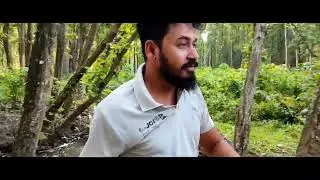 Lost in woods - Cinematic jungle video