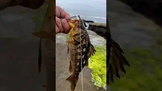 Fishing is fun because of unexpected changes.