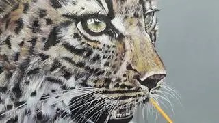 Yağlıboya Leopar Çizimi | Leopard Oil on canvas #leopar #leopard #çizim #oil #canvas