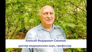 Сила березы:  целебные рецепты
