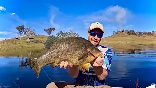 Late Winter Yellowbelly | Windamere Dam