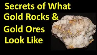 Gold Expert Reveals What raw GOLD Looks Like in Ore Rocks
