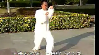 沙國政 形意拳 拳理拳法