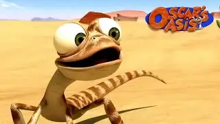 Oscar's Oasis - MARCH COMPILATION