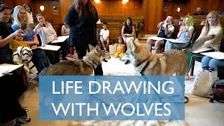 Life Drawing With Wolves