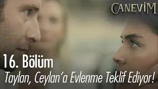 Ceylan'a, Ömer'in önünde evlenme teklifi - Canevim 16. Bölüm