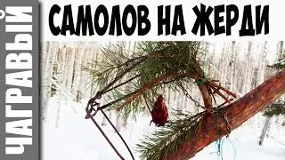 Marten and sable traps | setting a trap on an inclined pole I Marten trapping in Russia