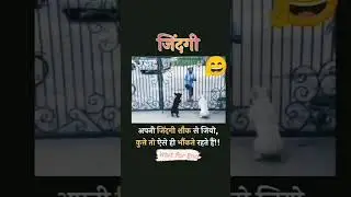 Jindagi 