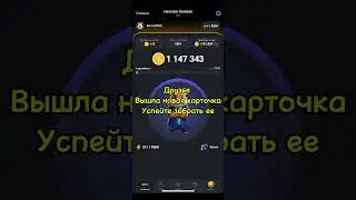 СКАМ ХОМЯК ? БЫСТРАЯ ПРОКАЧКА в Hamster Kombat /Обзор Игры ХАМСТЕР КОМБАТ КАК ЗАРАБОТАТЬ ДЕНЬГИХОМЯК