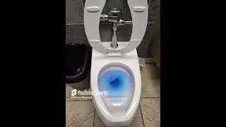ATTENTION ALL JANITORS!