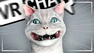 LAUGHING CAT 🫵 - VRCHAT Funny Moments
