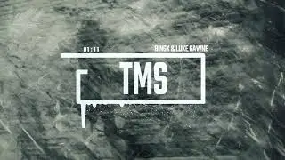 Bingx & Luke Gawne -  TMS