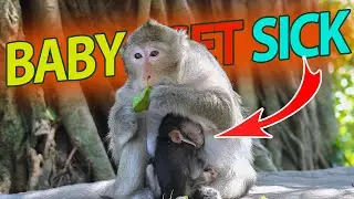 THE BABY GET SICK AND MOTHER TRY TO EATS FOR MAKING MILK 😢❤️.
