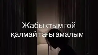 Жасырғанда - Айжан Табаракқызы