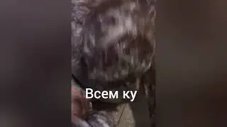 17 мая 2020 г.