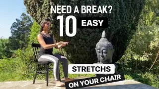 Need a break? 10 easy stretches seated on a chair. Desk Workout