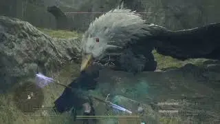 Dragon's Dogma 2 -- First Griffin Kill as Mystic Spearhand