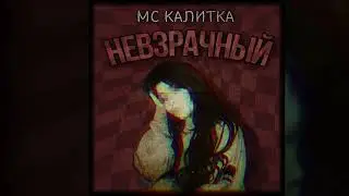 Мс Калитка — Невзрачный (2024)