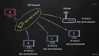 Курсы по программированию на python Часть 20 (Создаем ARP запрос с помощью Scapy)