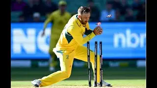 Aus Vs Pak : बेहद रोमांचक मैच में AUS ने PAKISTAN से पहला वनडे जीता