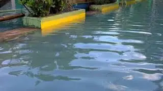 PAKIL LAGUNA, MALA SWIMMING POOL ANG HITSURA SA LINIS NG BAHA!! RESULTA NG RESPONSABLENG PILIPINO😍
