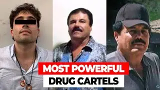 TOP 5 Most Powerful Drug Cartels In The World