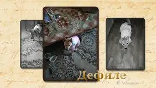 Наша Линда любимый член семьи.