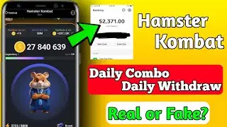 Hamster Kombat Withdrawal Kaise Le - TON Wallet | Hamster Kombat Scam Or Not?