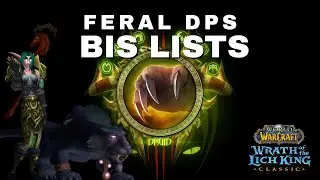 Feral Druid DPS BiS Lists (Pre-Raid & Phase 1)